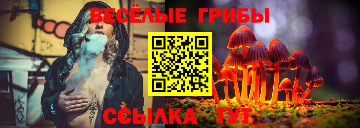 Псилоцибиновые грибы прущие грибы Тихвин