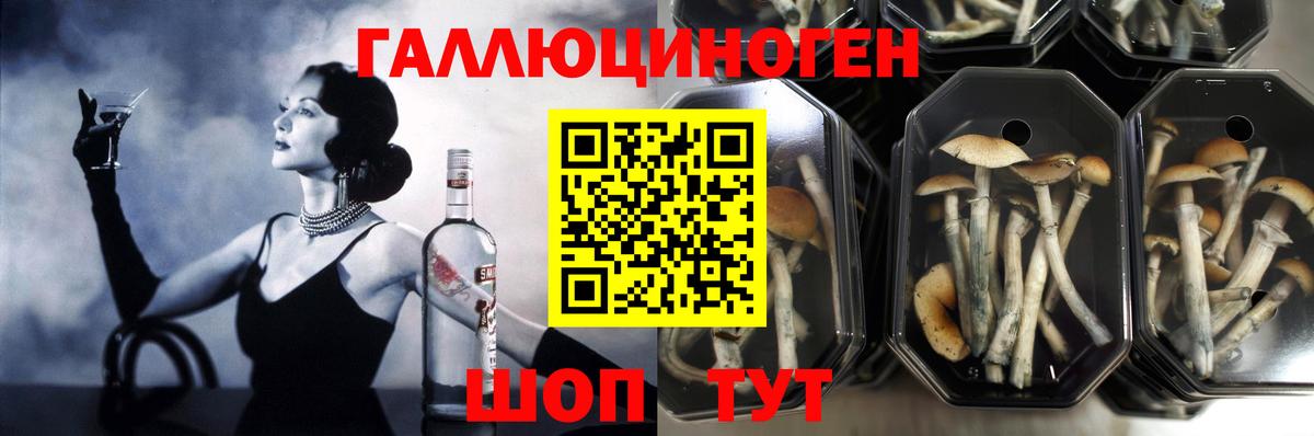 Тихвин  Галлюциногенные грибы Cubensis  Вход с VPN  Галлюциногенные грибы Magic Shrooms 